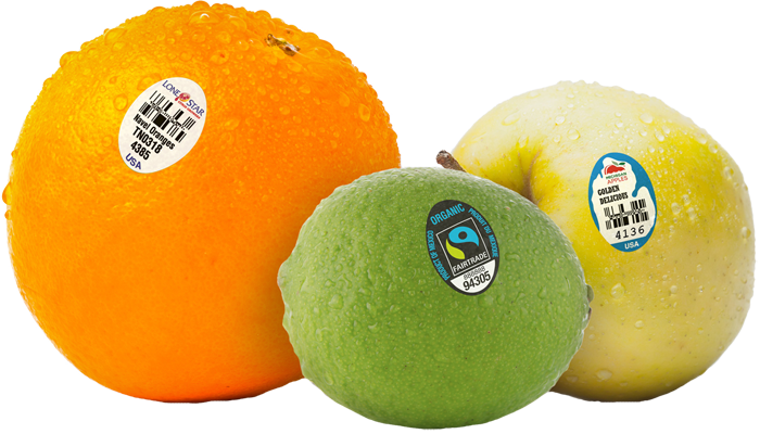 3 Fruits Labelled
