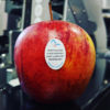 Industry Leader in Fruit Labelling & Produce Stickers - Accu-Label Inc.